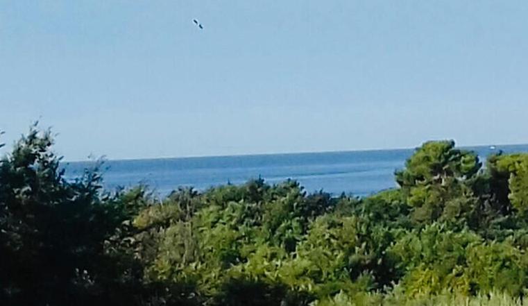 Apartment Ivana,Mali Maj Poreč Dış mekan fotoğraf